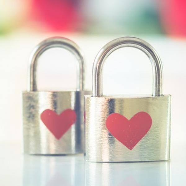 Protezione Venditore ed Acquirenti