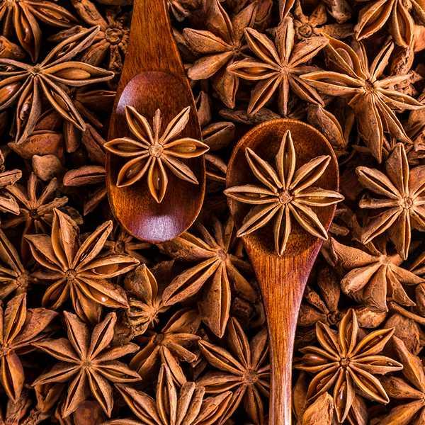 Semi Piante Aromatiche